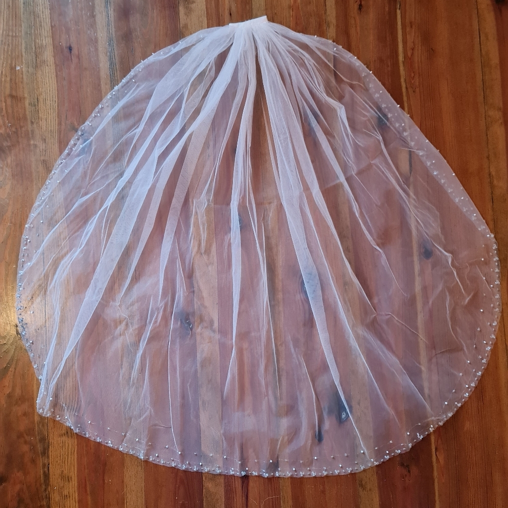 Bridal Veil Beyond Shoulder Length Clip In Edges of Seed Pearls Beads Tulle